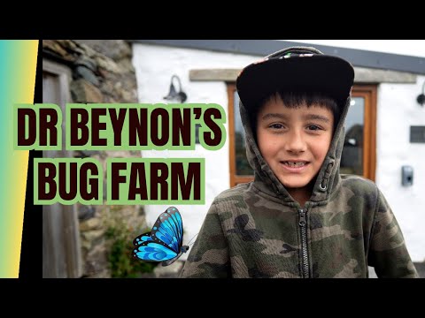 Dr Beynon’s Bug Farm, Pembrokeshire, Wales, UK