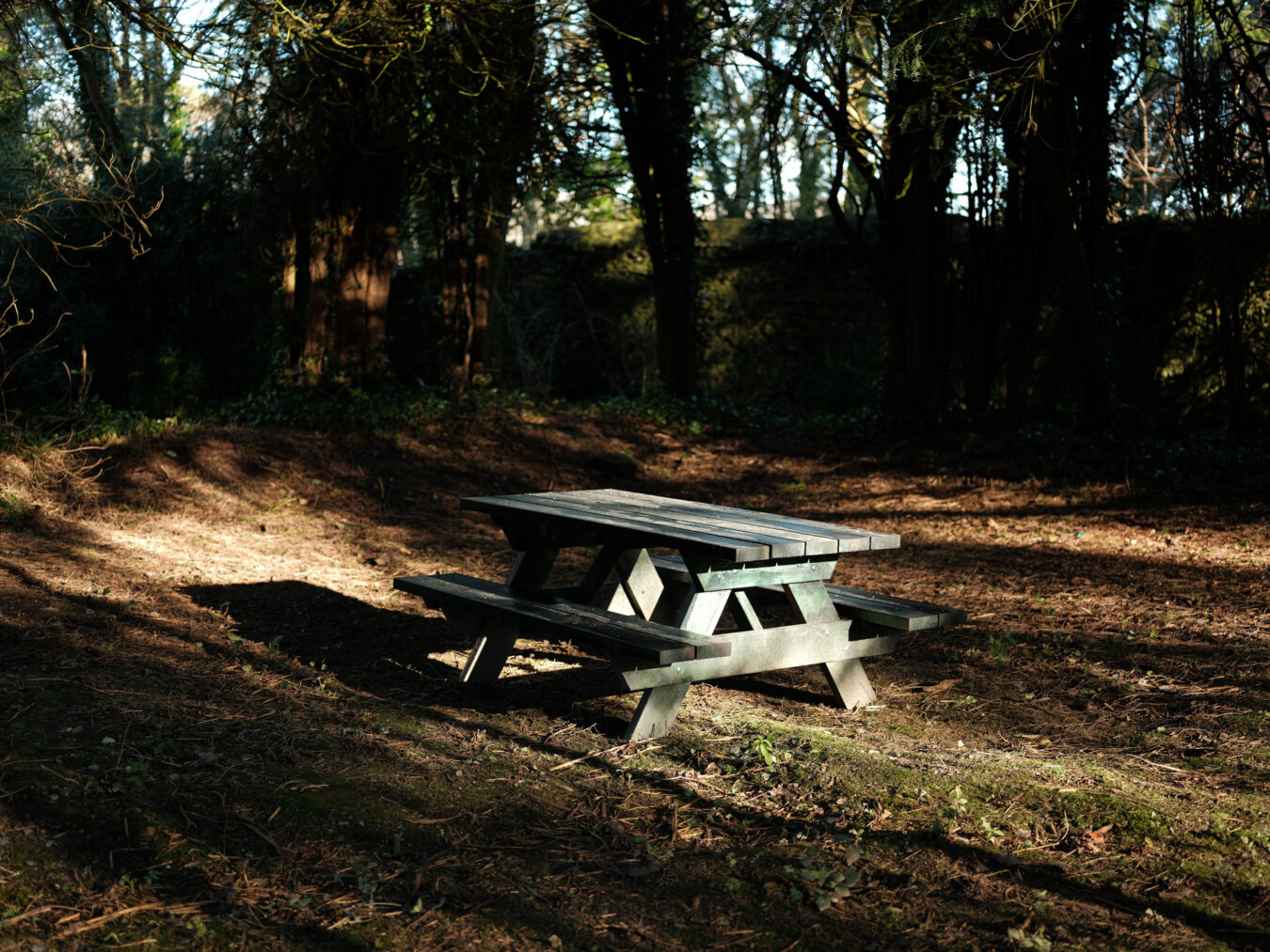 Picnic table in Ynysymaengwyn