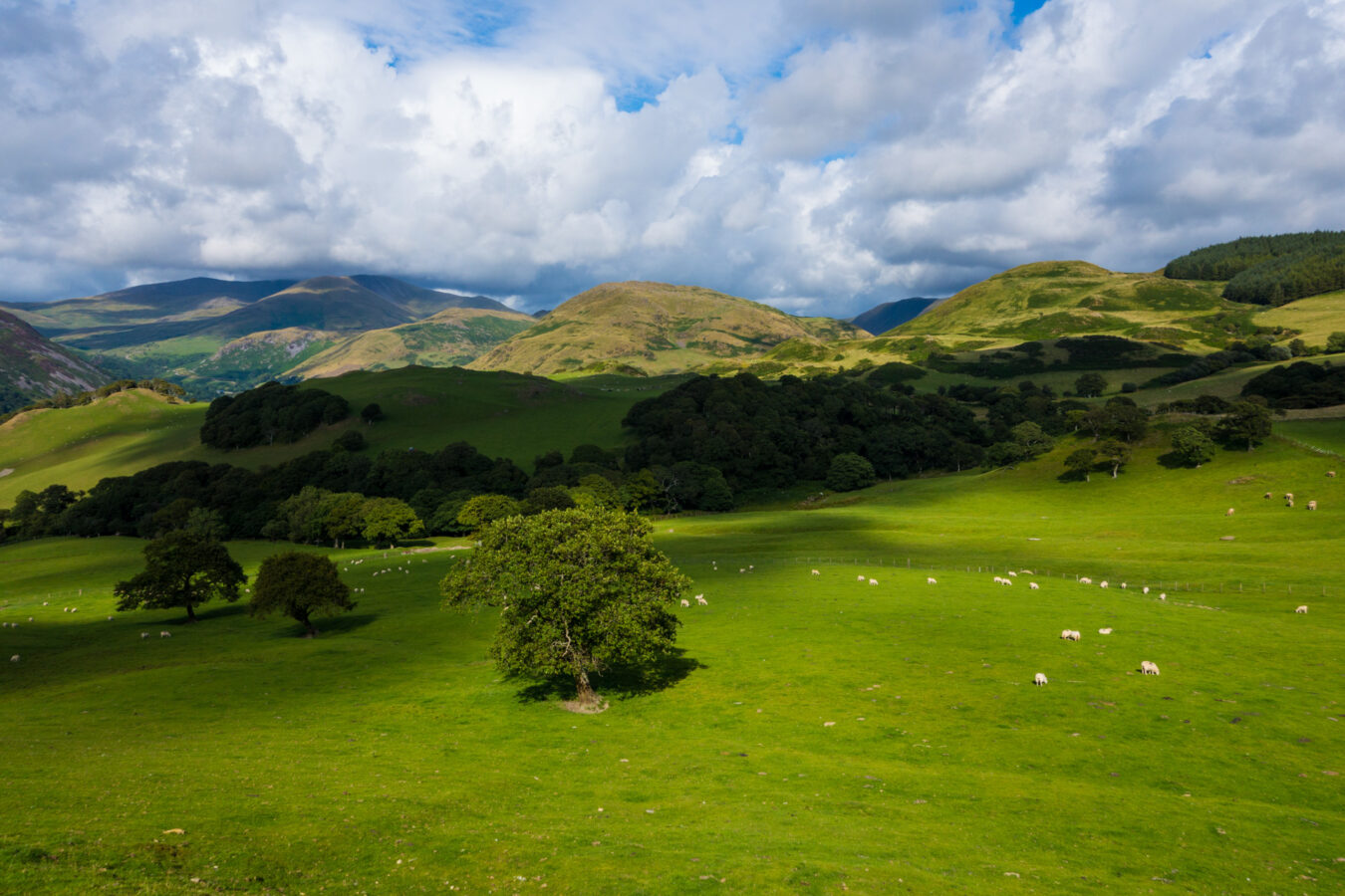 Landscape with dramatic light around Bird Rock