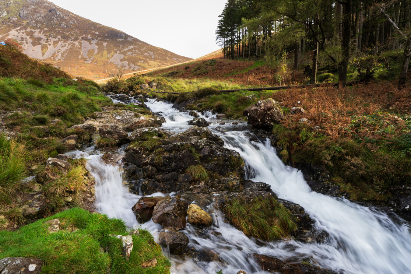 Stream on the way up the mountain