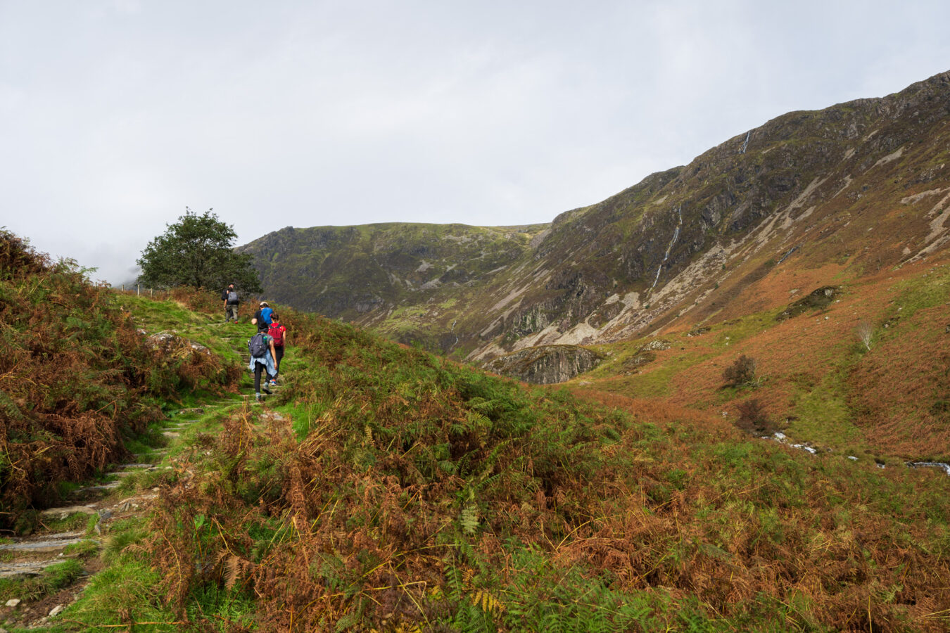 Walking towards Llyn Cau