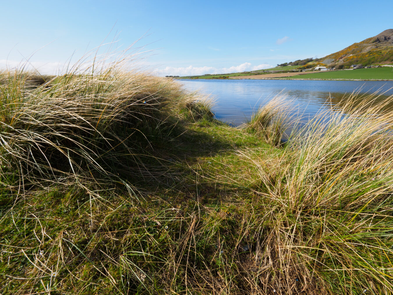 River Dysynni