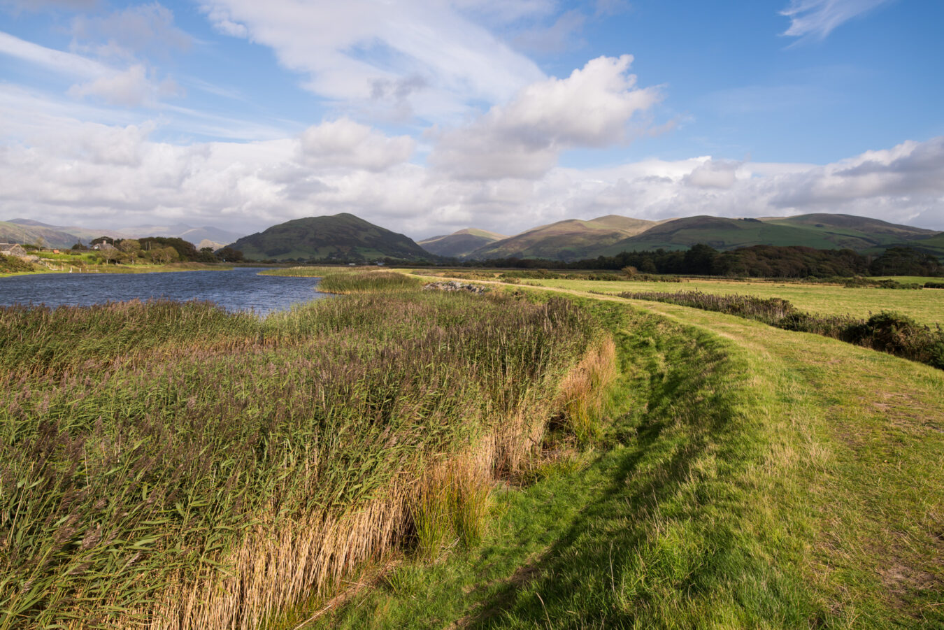 Path along the Dysynni river with hills in the background