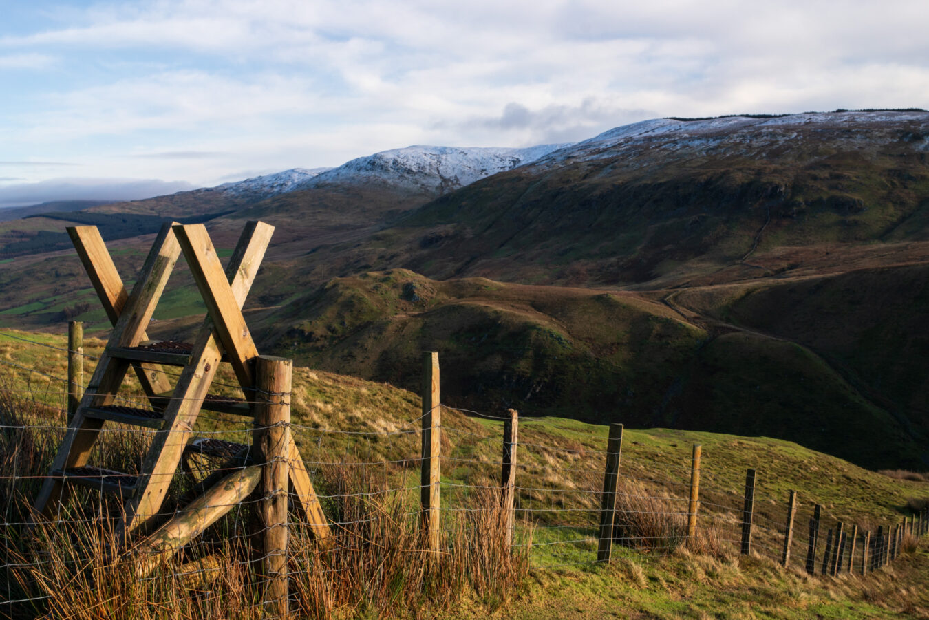 Snowy hills in the background