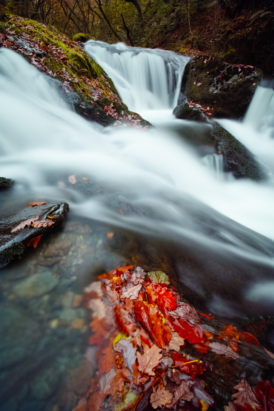 Waterfall and red leaves in Nant Gwernol