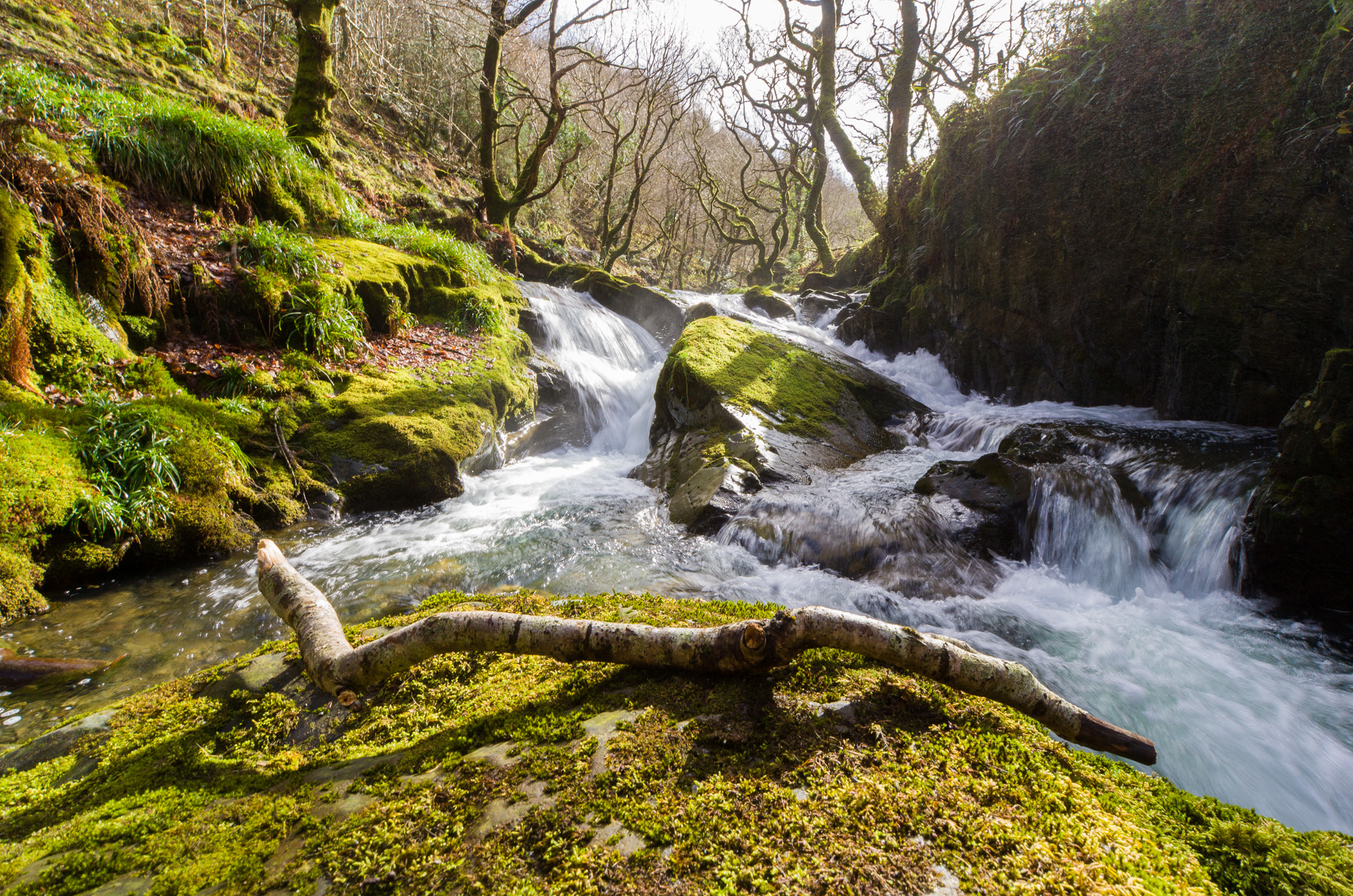 Waterfalls in Coed Nant Gwernol