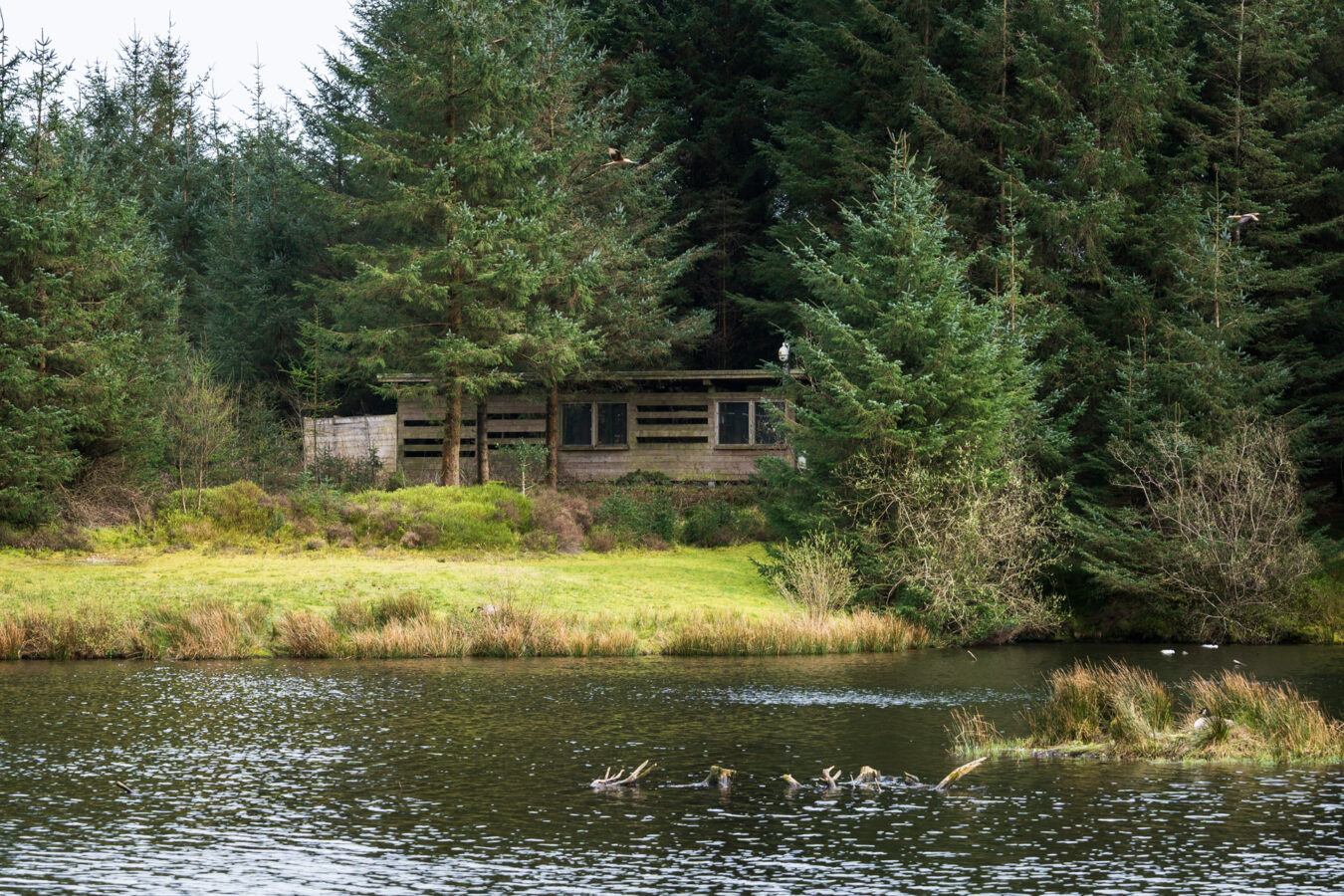 Hide in Bwlch Nant Yr Arian