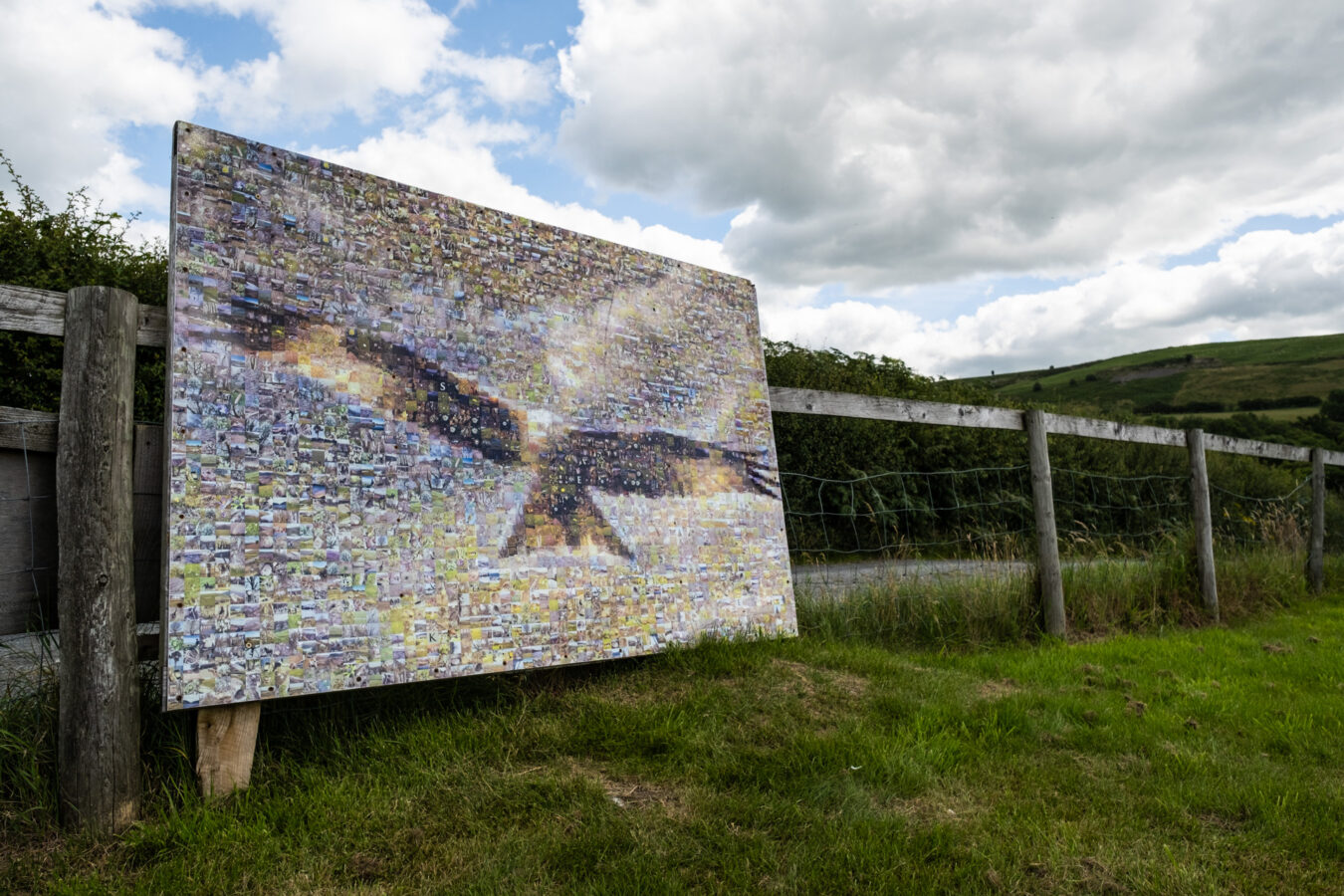 Red Kites pic collage at Gigrin Farm