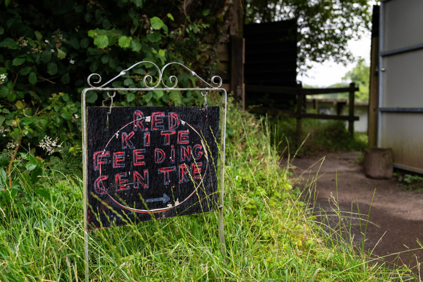 Red Kite Feeding Centre sign in Llanddeusant