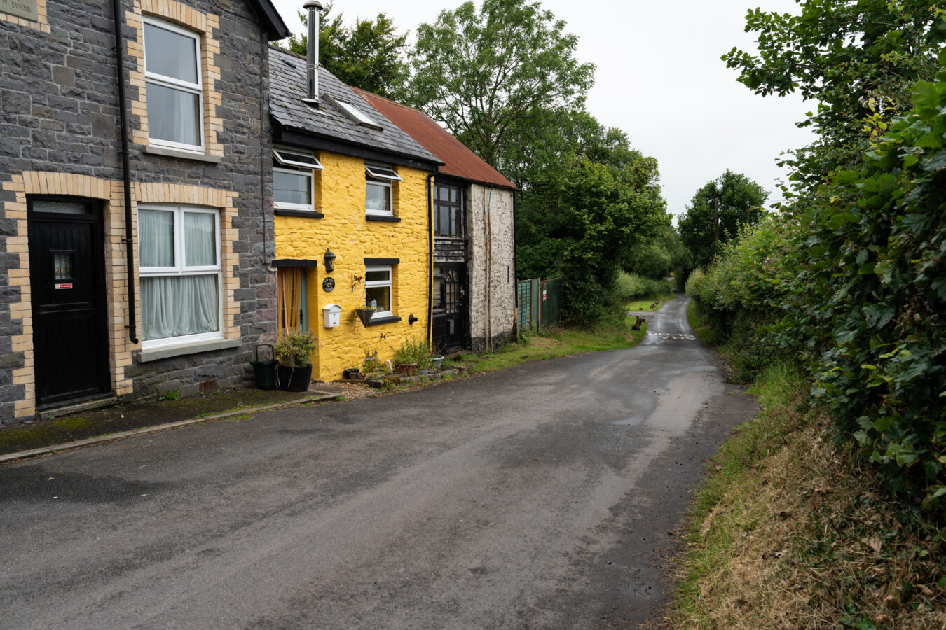 B road leading to the feeding centre, with yellow cottage on the left