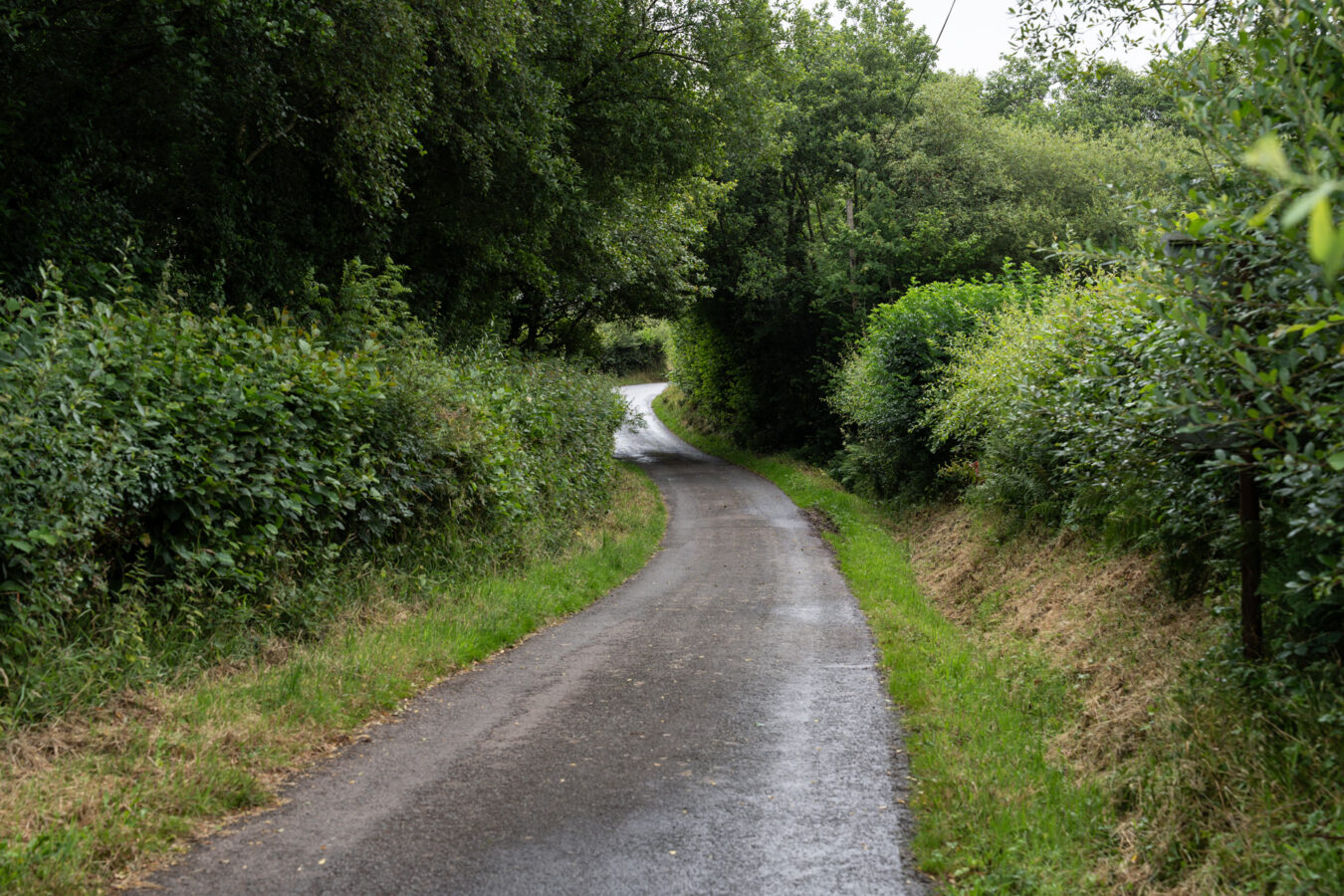 B road leading to the feeding centre