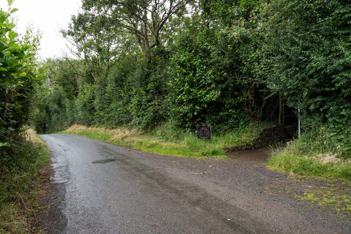 B road leading to the feeding centre, with entrance on the right