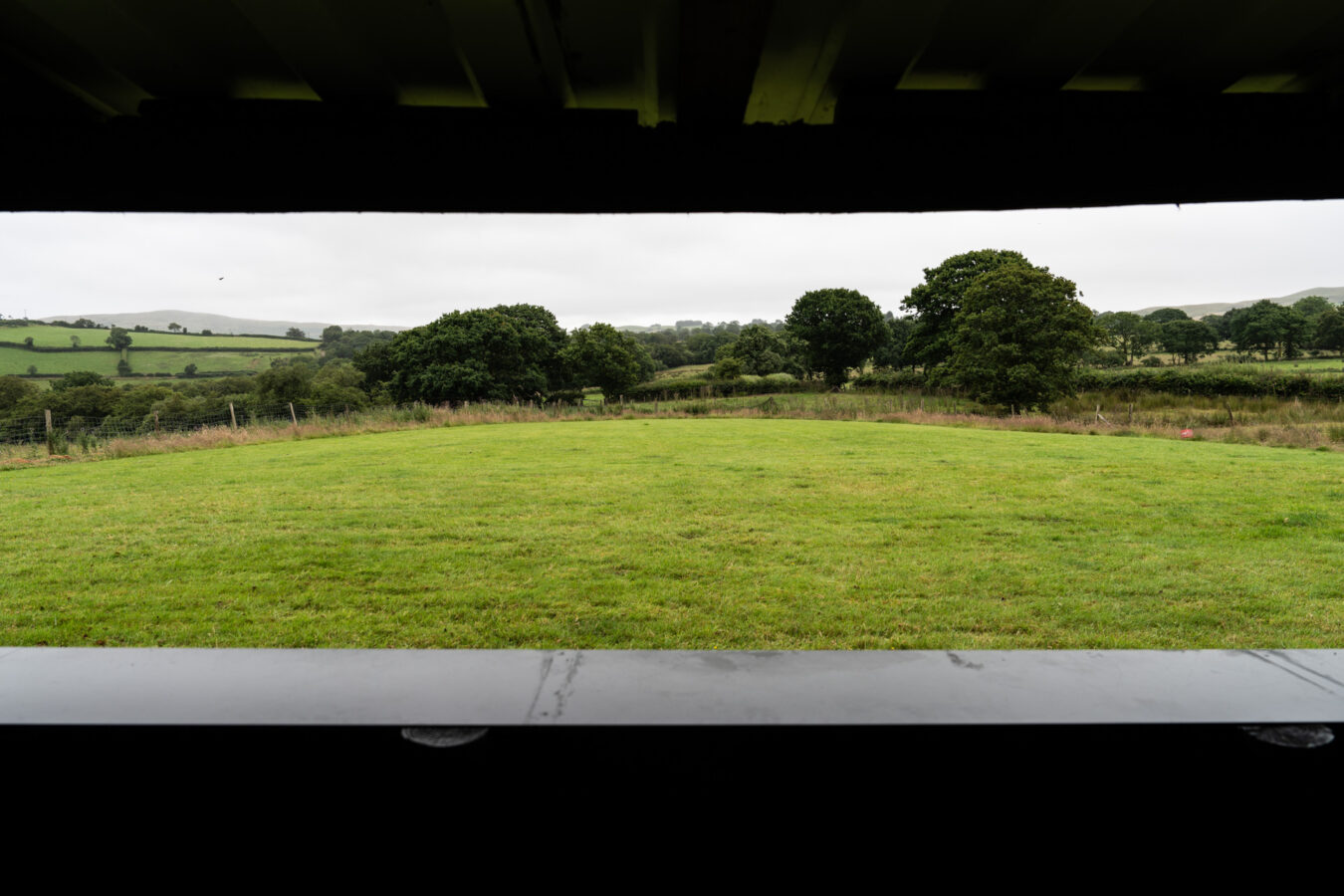 View on the feeding ground from the hide.