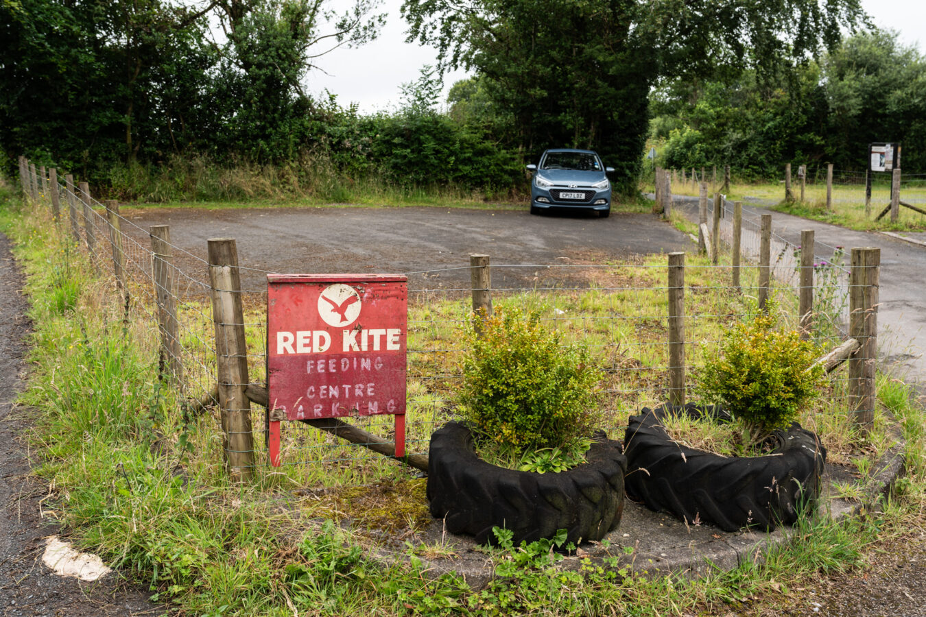 The first car park of the Red kite Feeding Centre