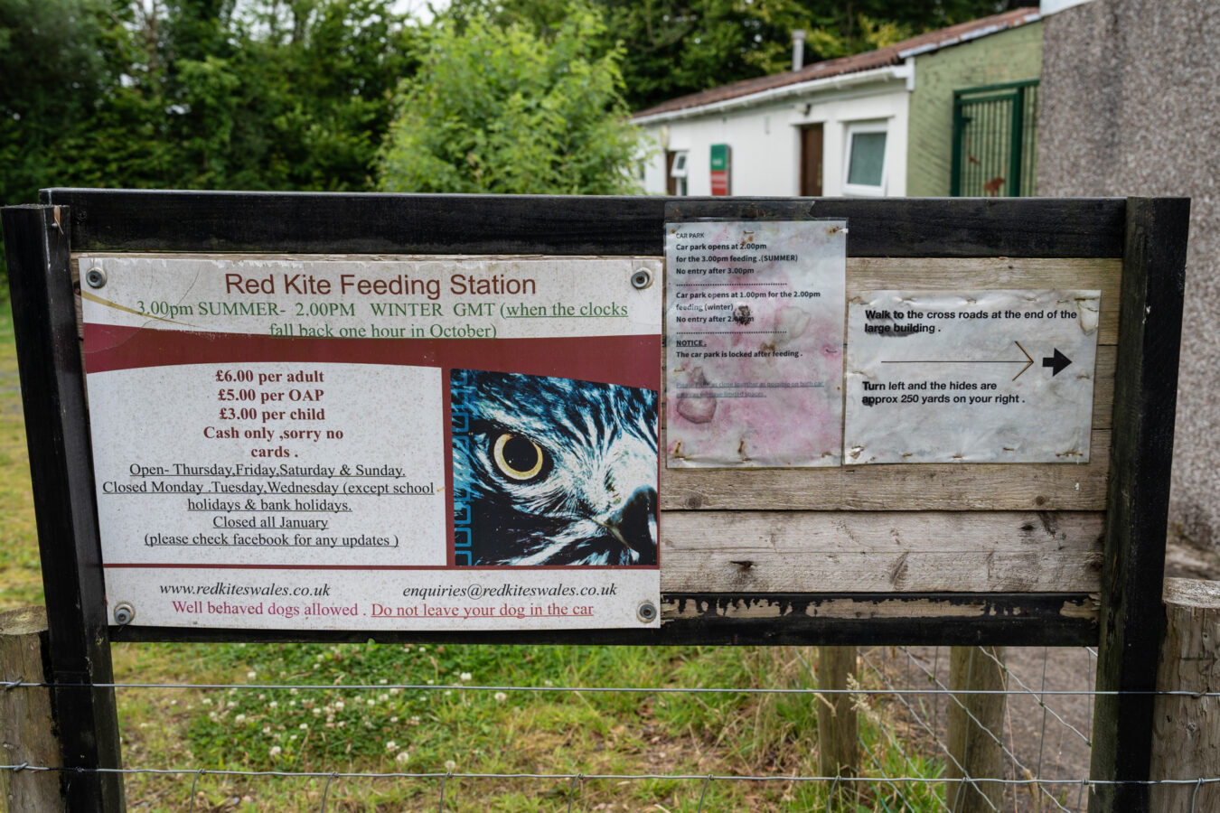 Red kite Feeding Centre information