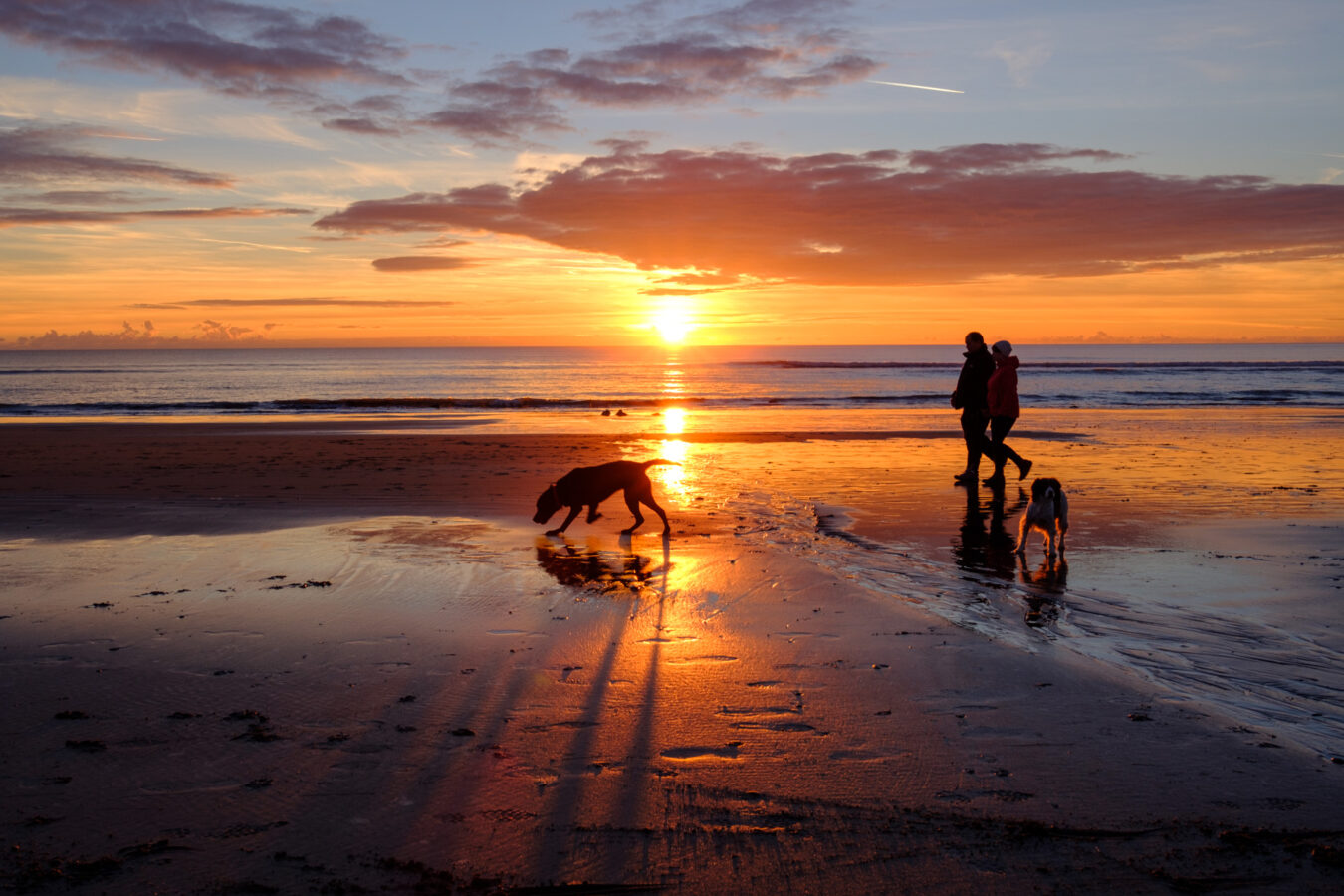 Family and dog walking on the beach at sunset