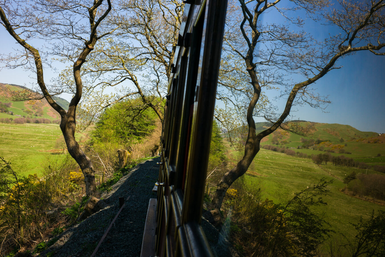 Tree and hills reflection on the carriage's window