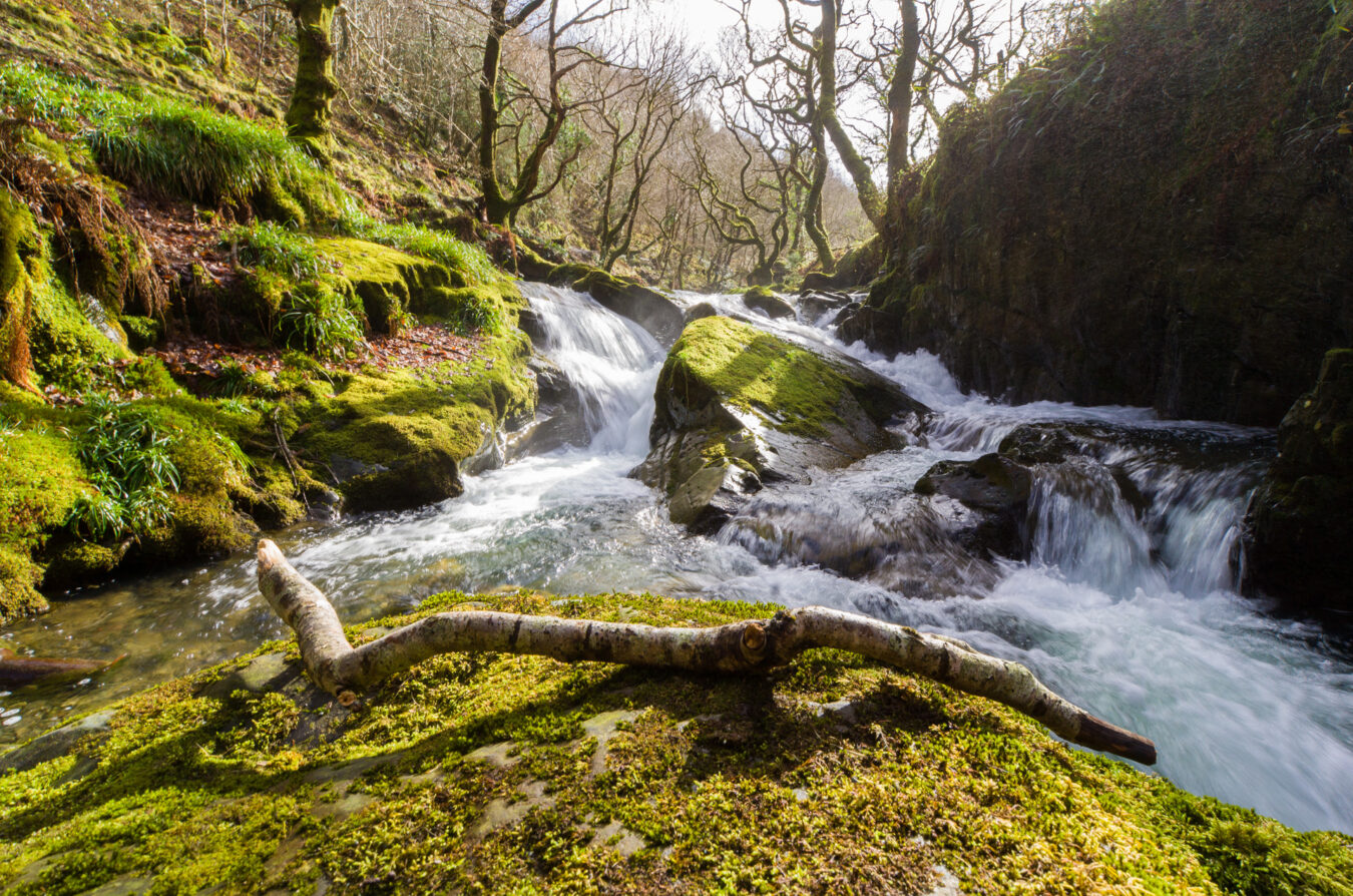 Waterfall in Nant Gwernoll