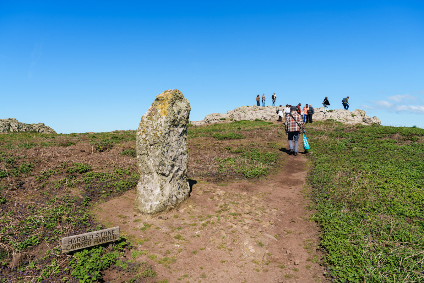 Harold Stone, Skomer Island