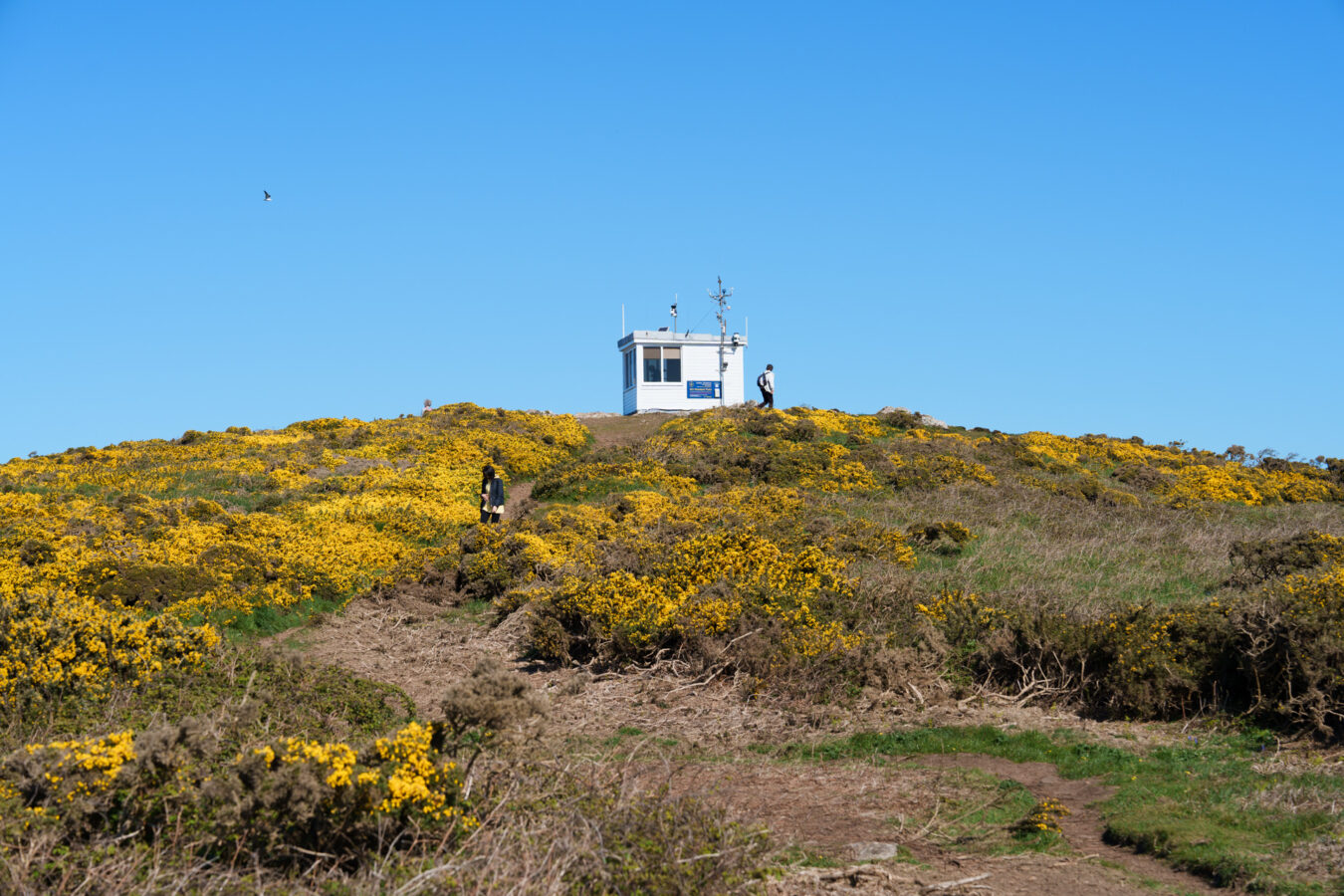 The NCI Wooltack Point on top of the hill.