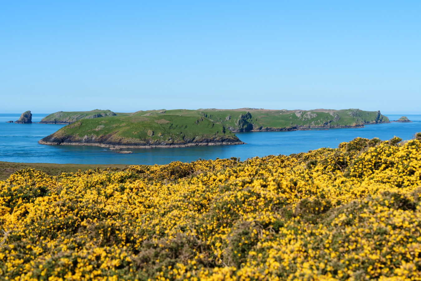 Skomer Island