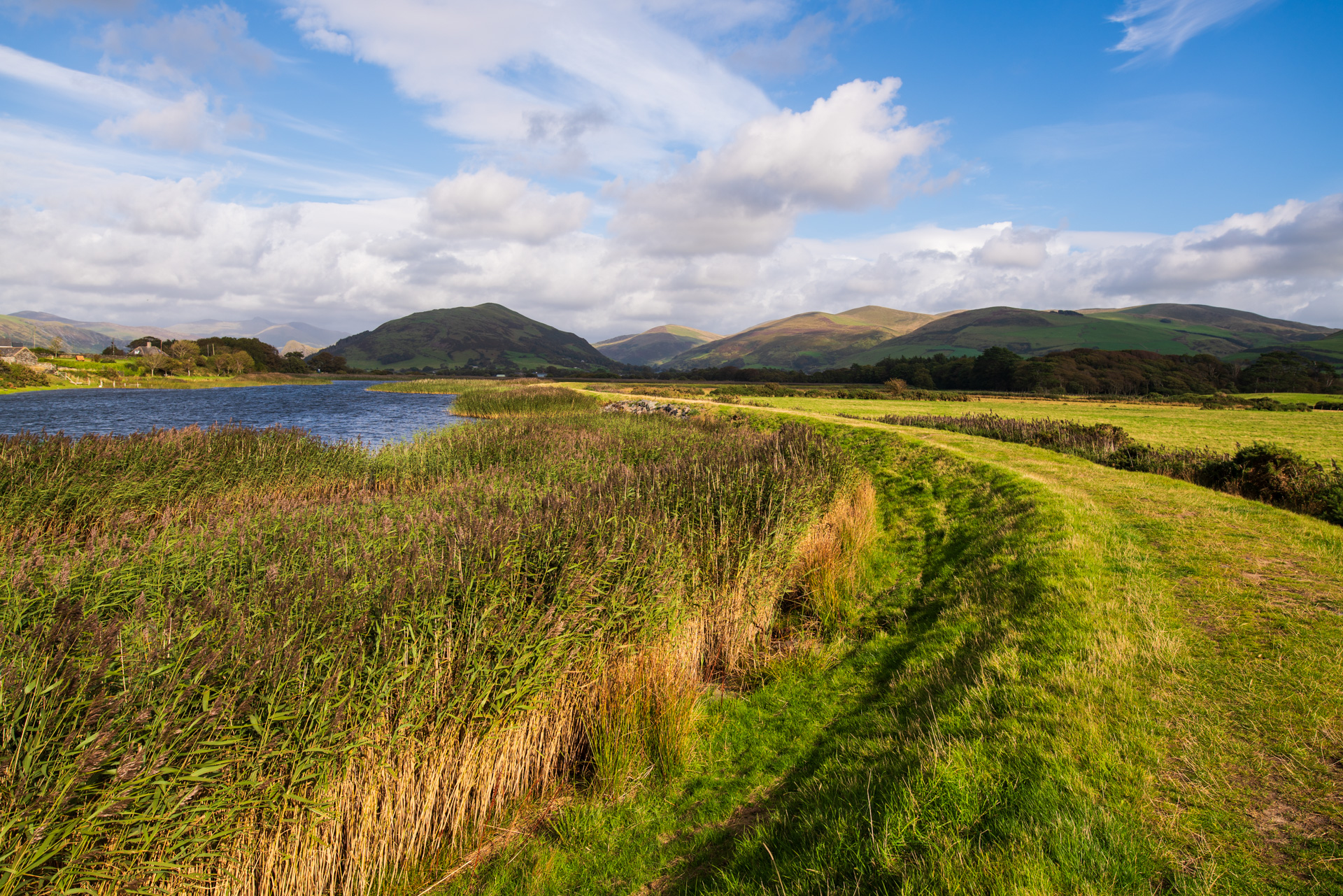 Field, trail, river and mountains in the background