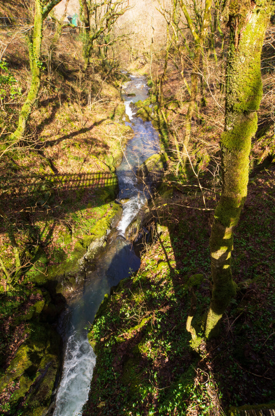 The view from the bridge.