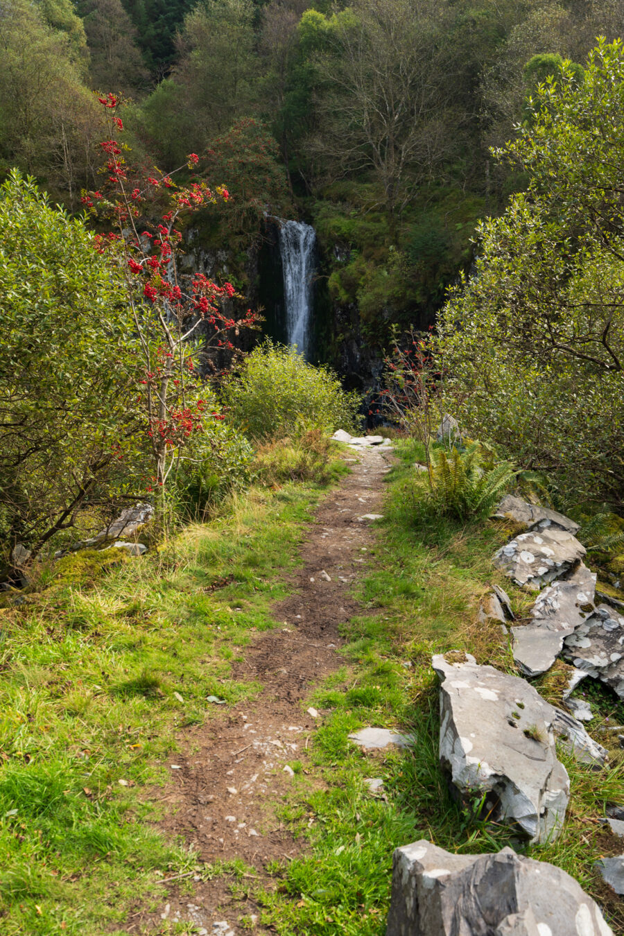 Hidden waterfall in Nant Gwernol