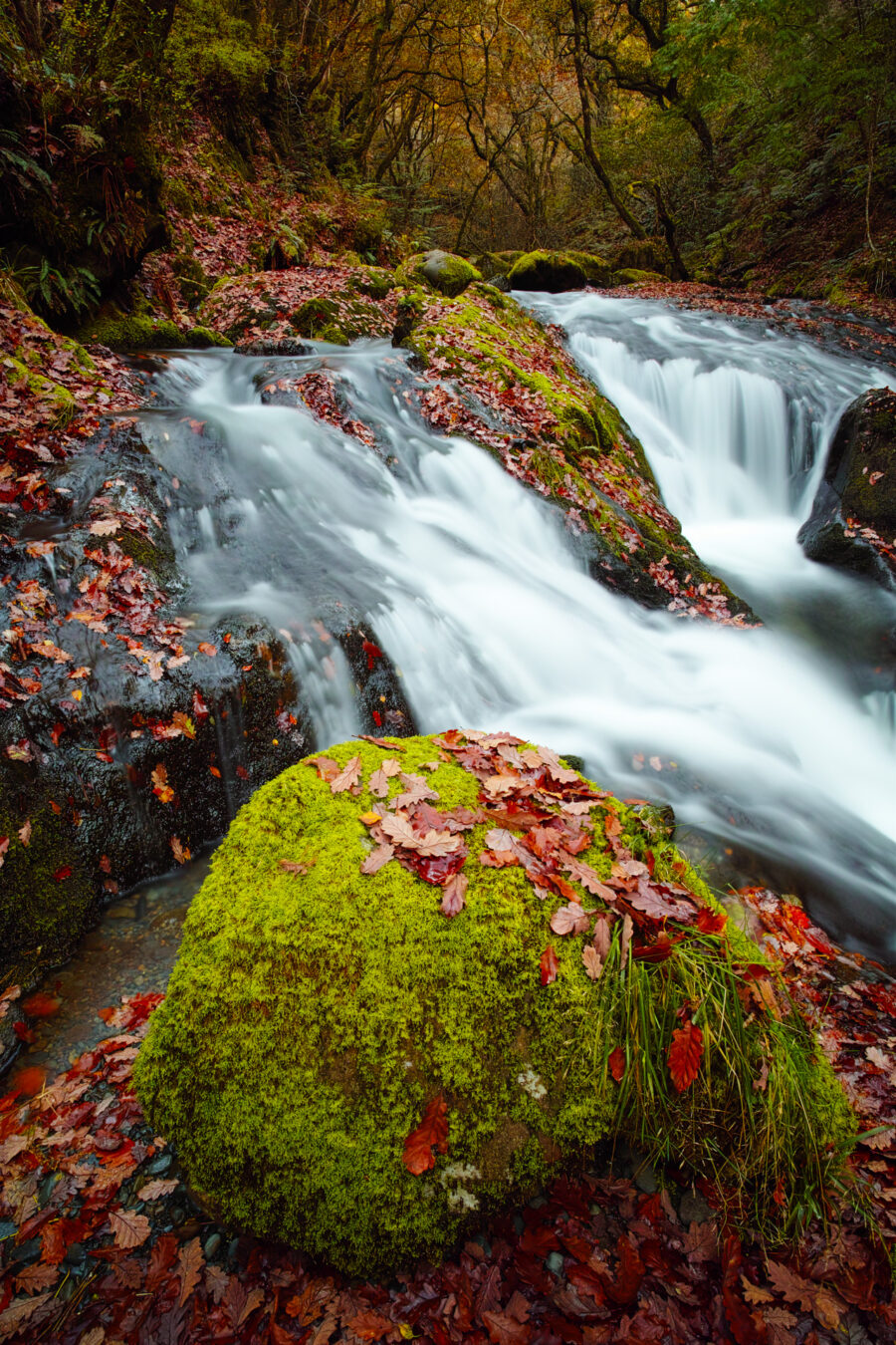 Long exposure waterfalls in Nant Gwernol in Autumn.