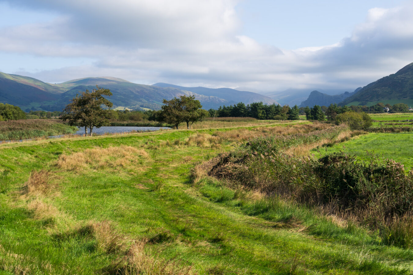 Path with trees and hills in the background