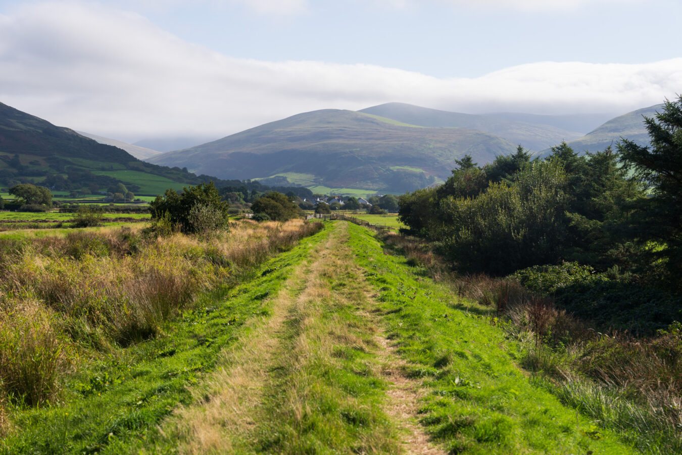 Path with hill in the background