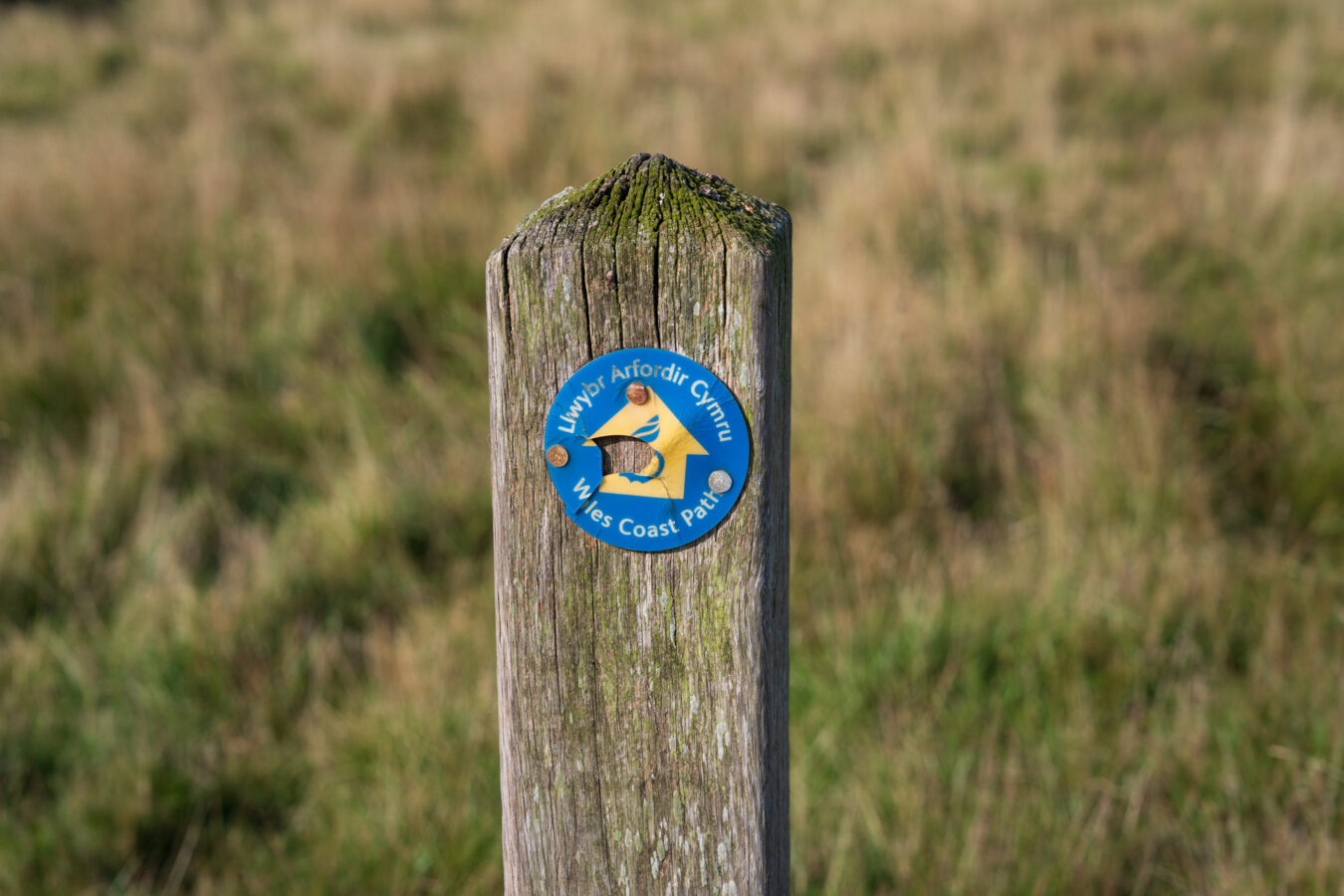 Wales Coast Path sign