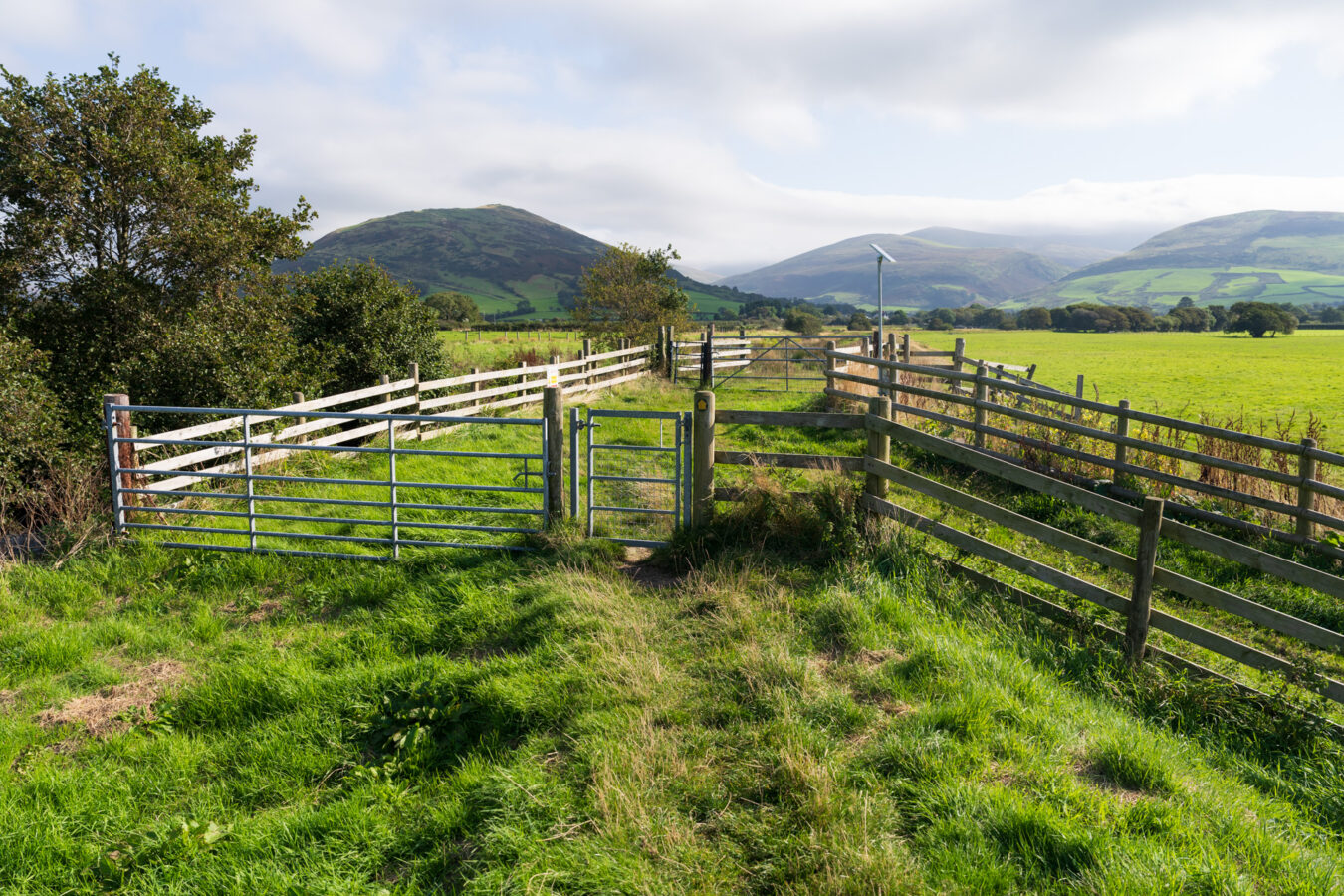 Double gate