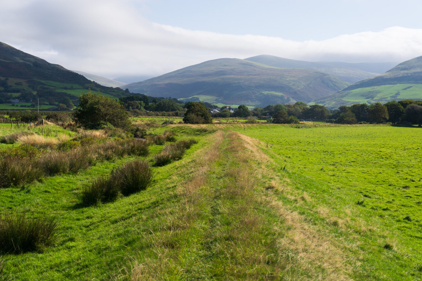 Path with hills in the background