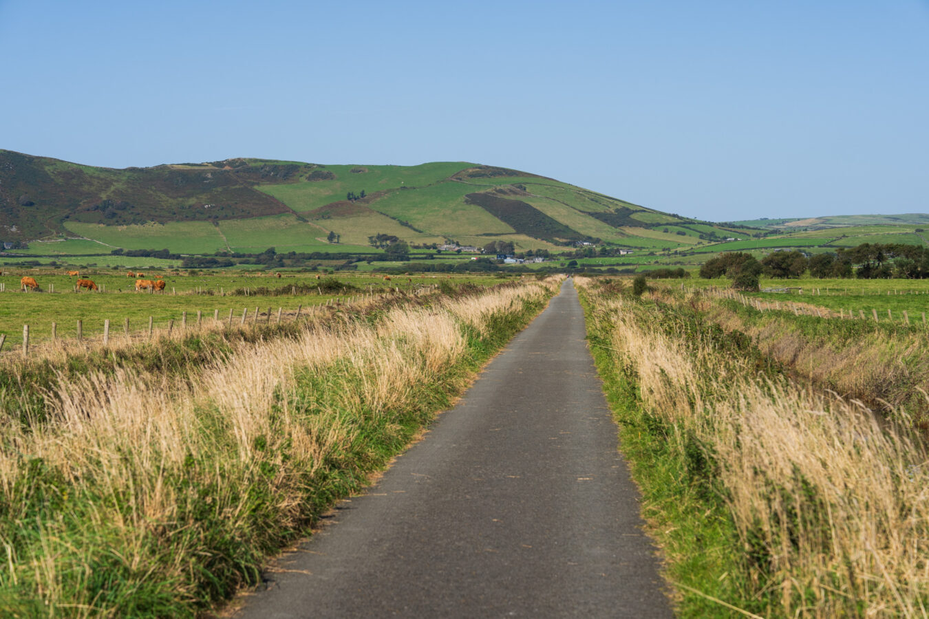 Narrow road towards the Dysynni river