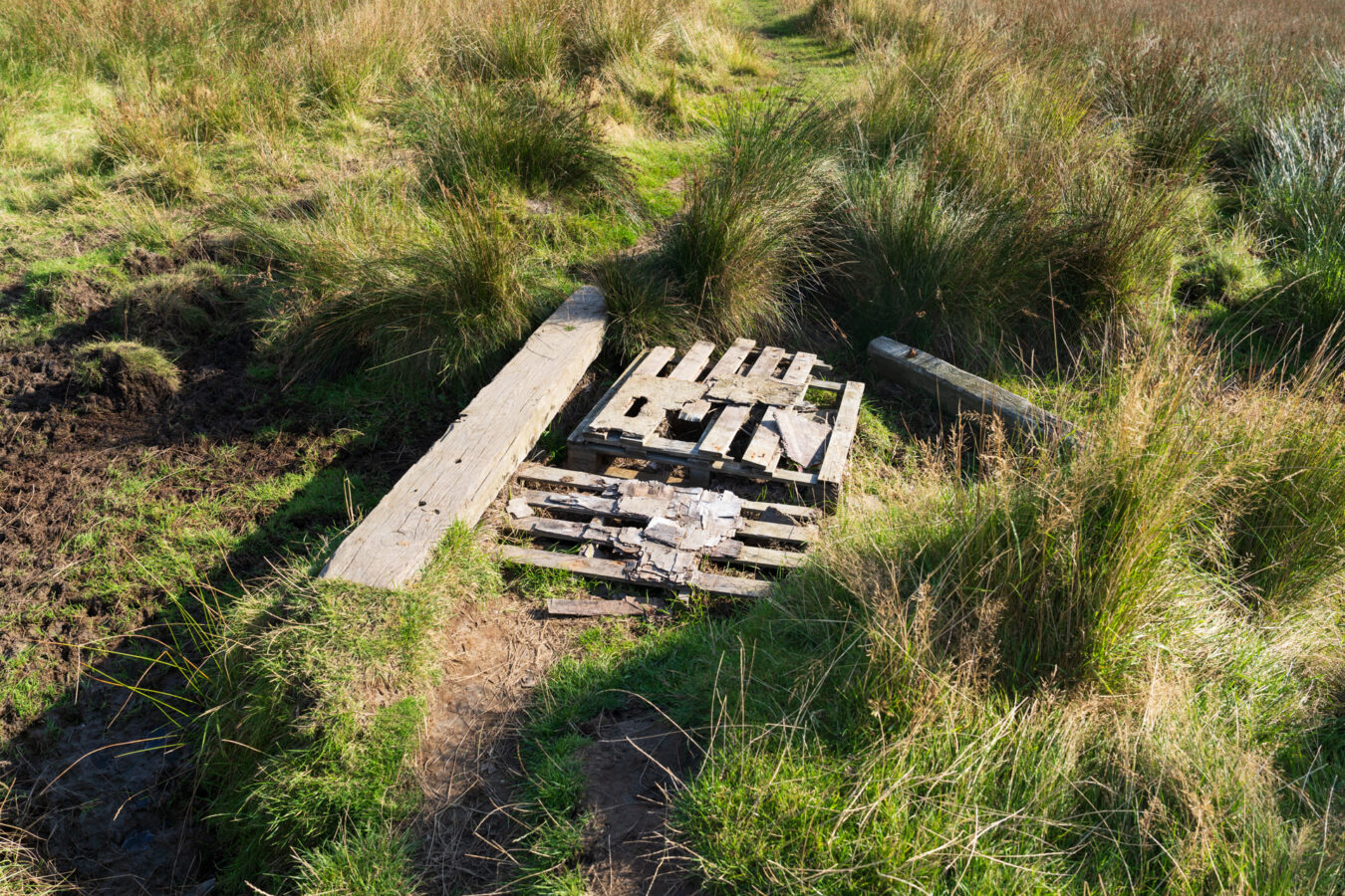 Wood planks on muddy path.