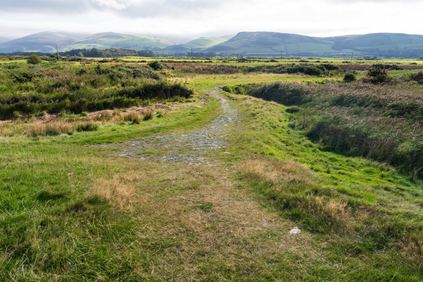 Fork in the path