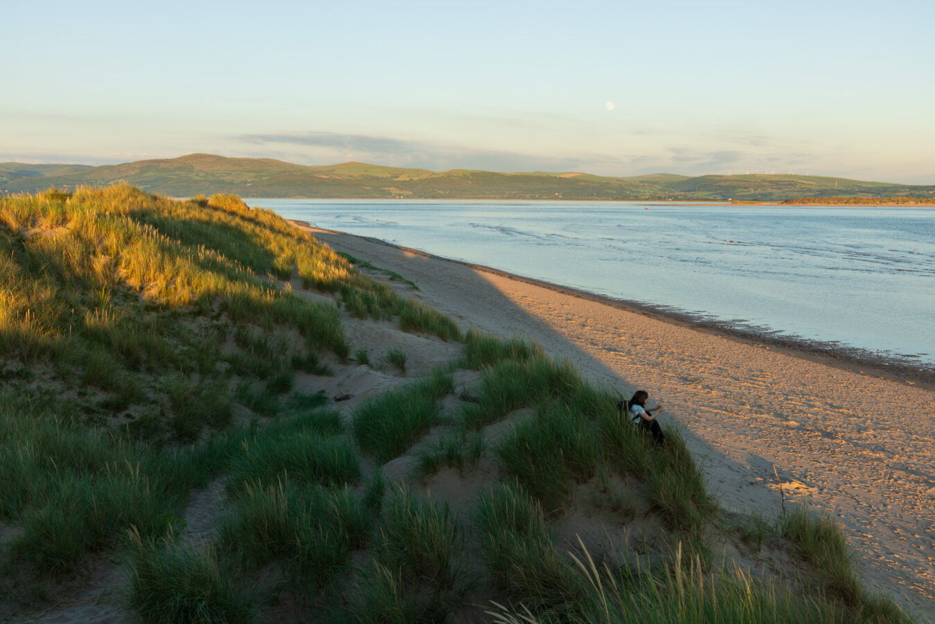 Dunes and sandy beach in Aberdyfi