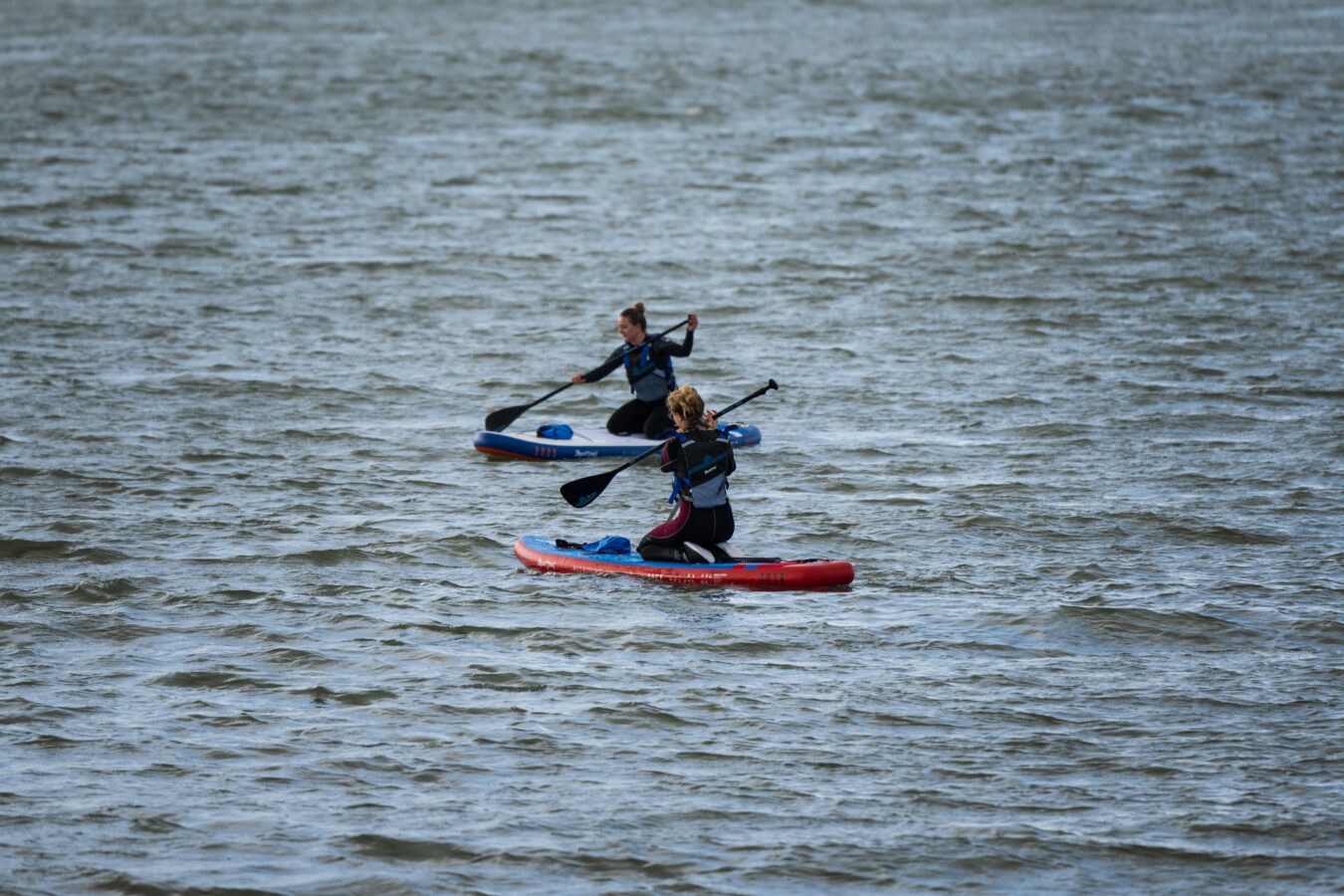 Two paddleboarders on the water