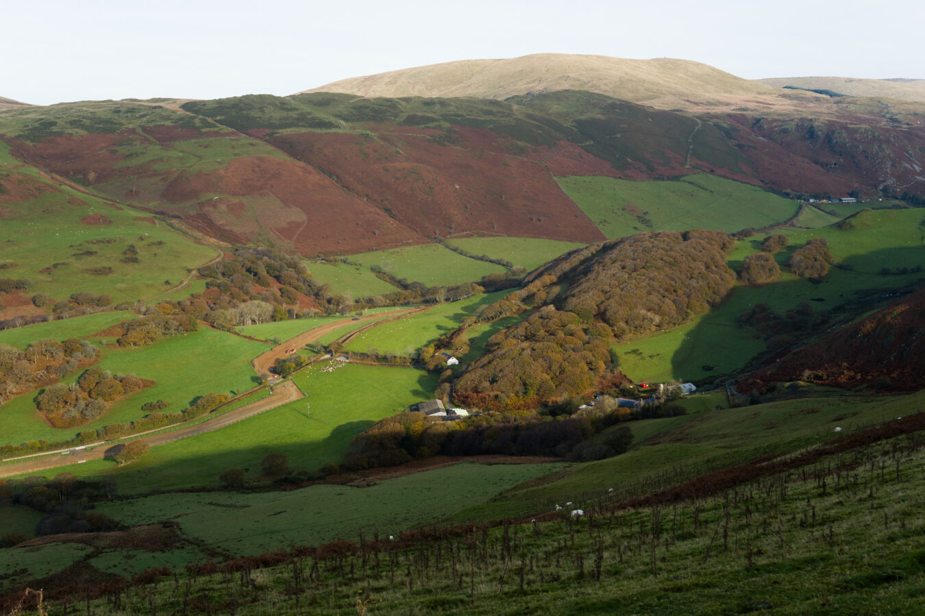 Happy Valley