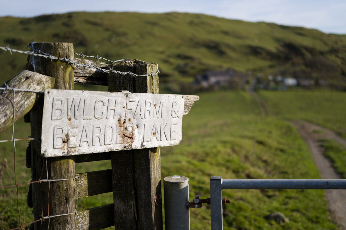 Bearded lake sign