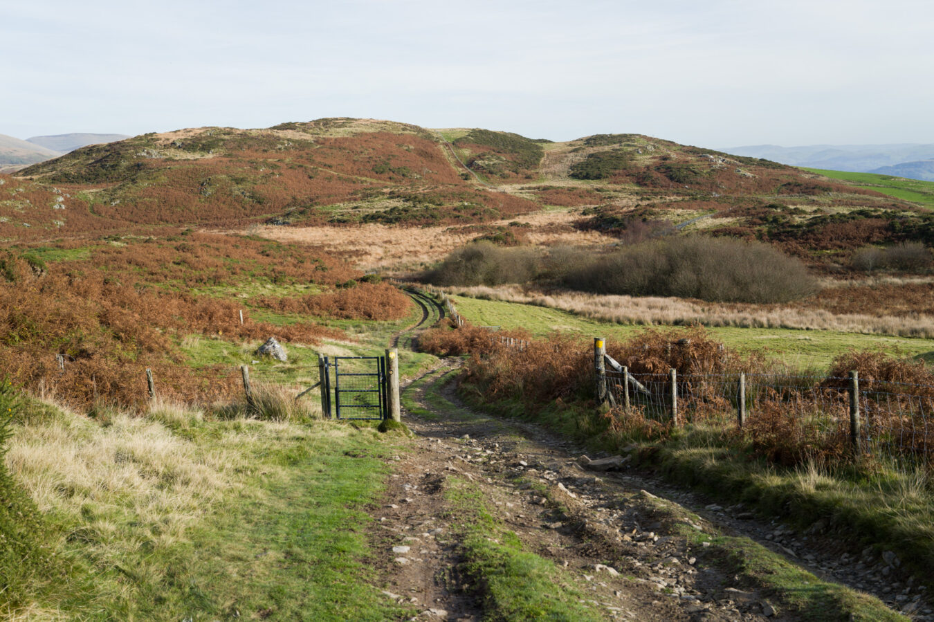 Approaching path to Bearded lake