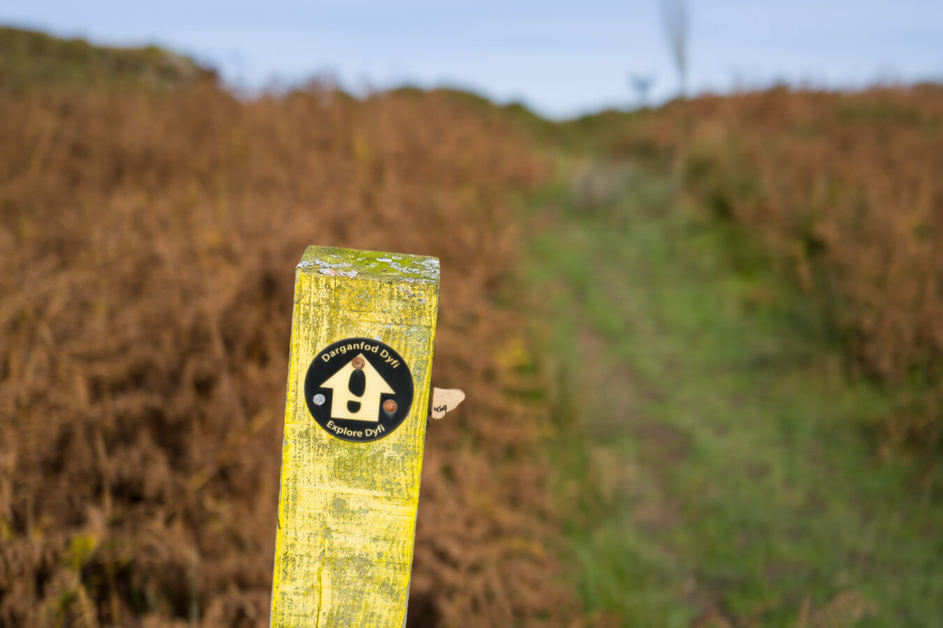 Explore Dyfi sign