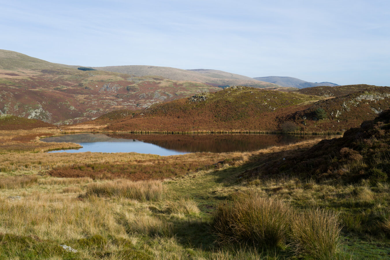 Bearded Lake