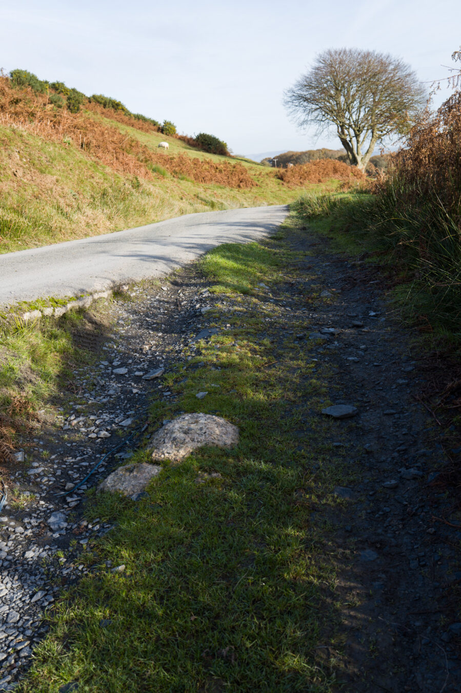 Dirt road joins country road.