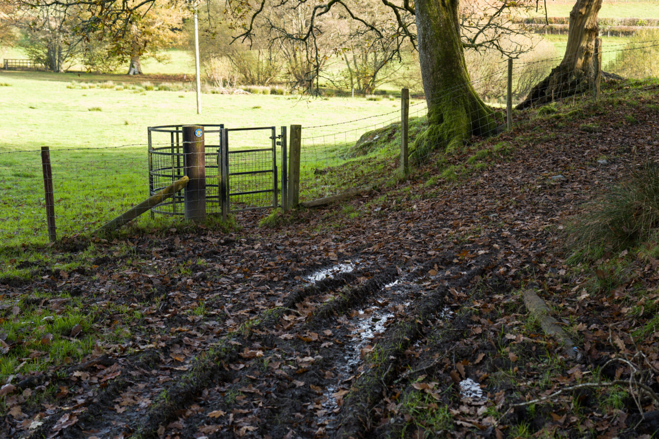 Small gate