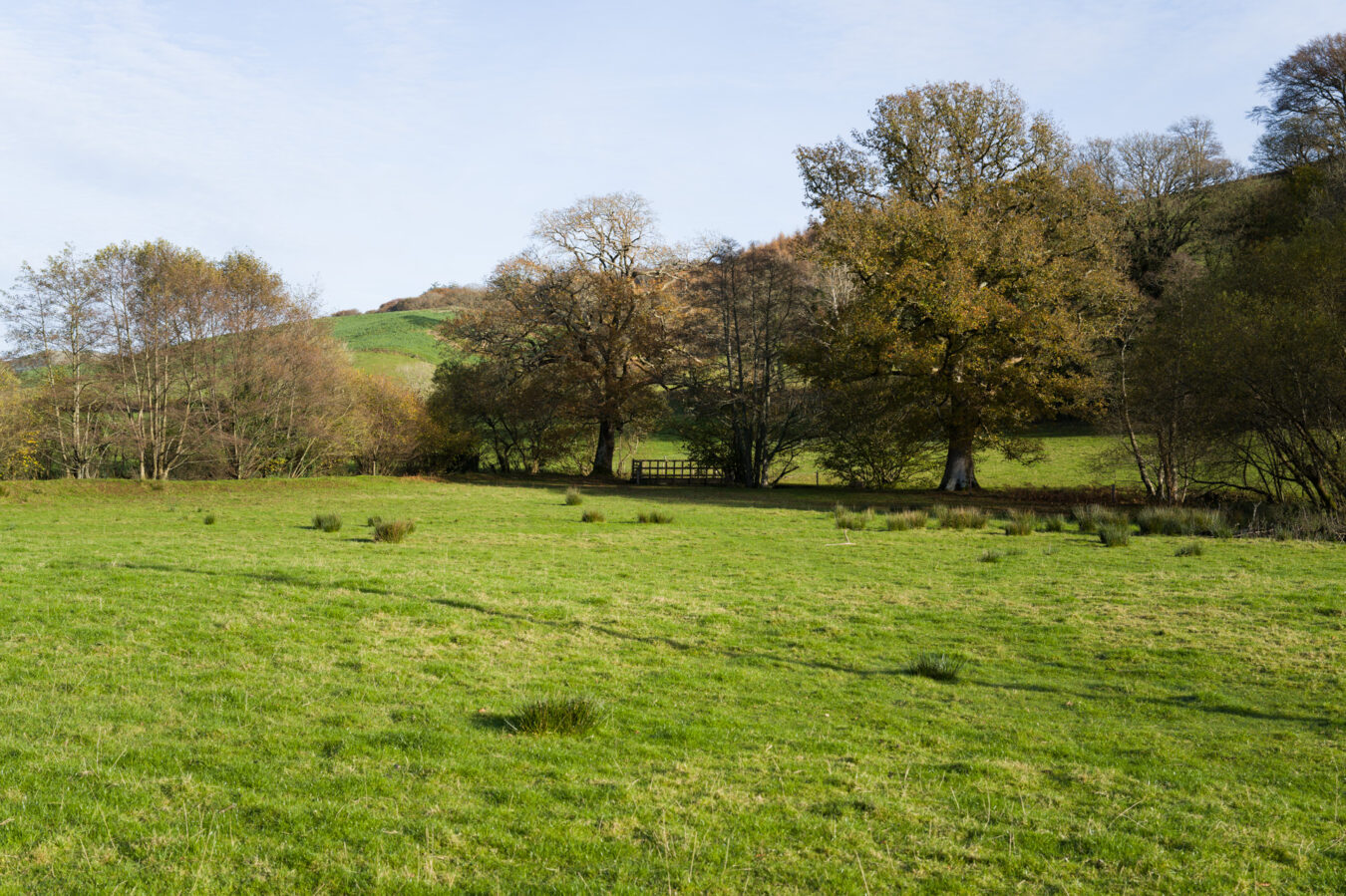 Crossing the field