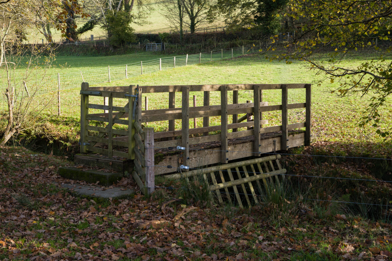 Wooden bridge