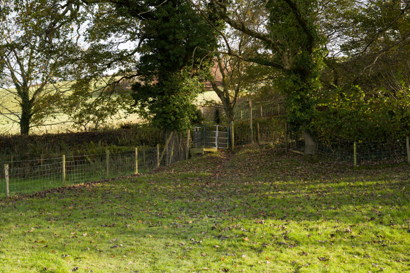 Crossing another field