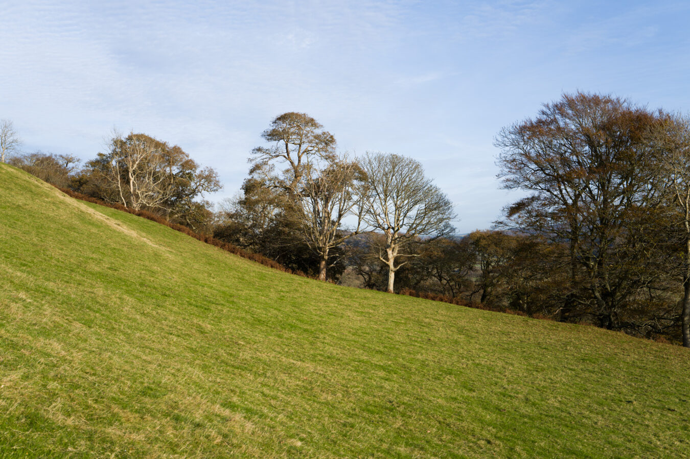 Going up the field